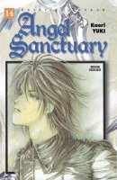 Angel Sanctuary Vol14.jpg